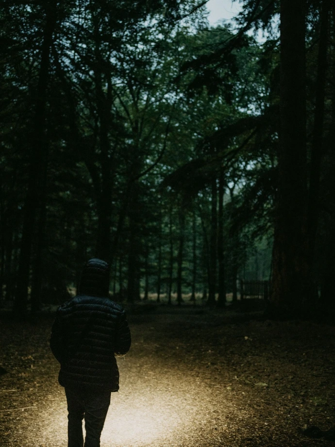 a person walking down a path in the woods